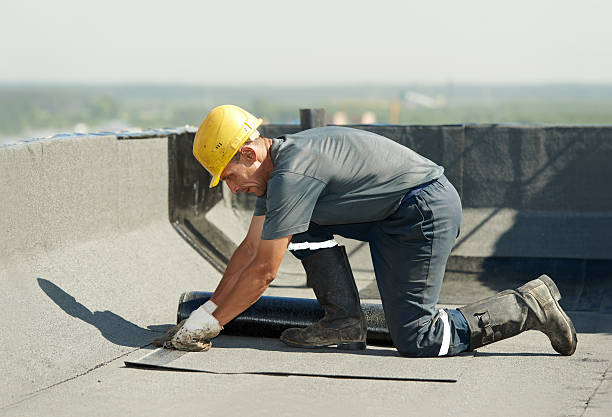 Best Cellulose Insulation in Bressler, PA